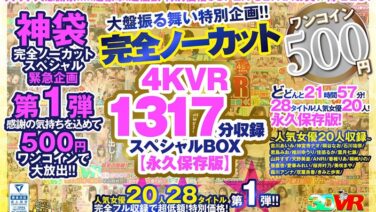 【VR】【500円ワンコイン】完全ノーカット大盤振る舞い特別企画！！4KVR1317分収録スペシャルBOX【永久保存版】 kolvrb00009を解説＆評価